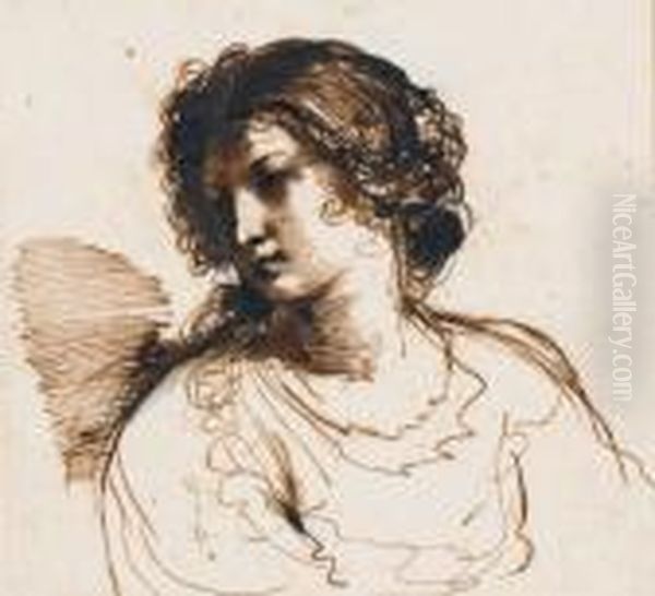 Jeune Femme En Buste Regardant Vers La Gauche Oil Painting by Giovanni Francesco Barbieri