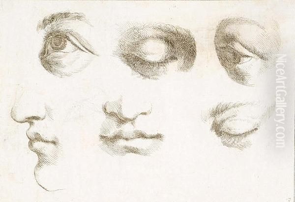 Five Studies Of Eyes, A Study Of
 The Lower Portion Of A Face In Profile And Another From The Front Oil Painting by Giovanni Francesco Barbieri