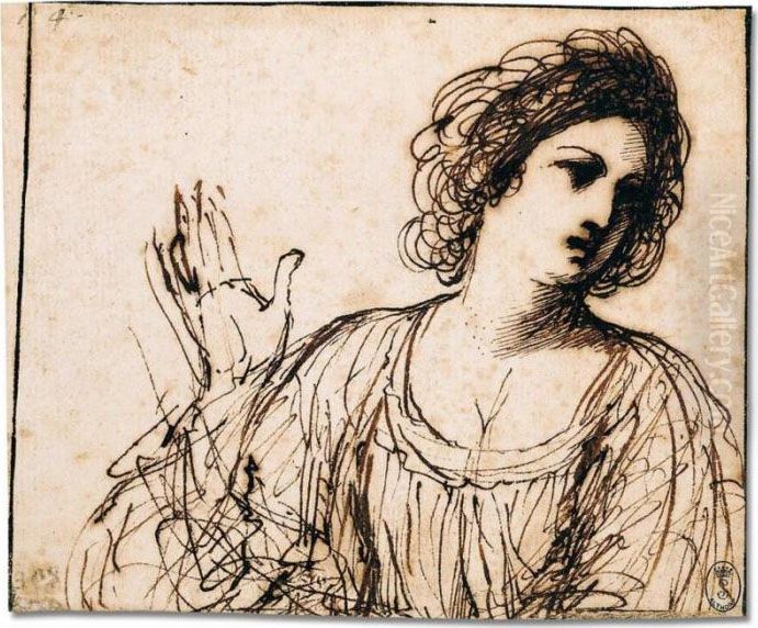 A Study Of A Young Woman, Head And Shoulders Oil Painting by Giovanni Francesco Barbieri