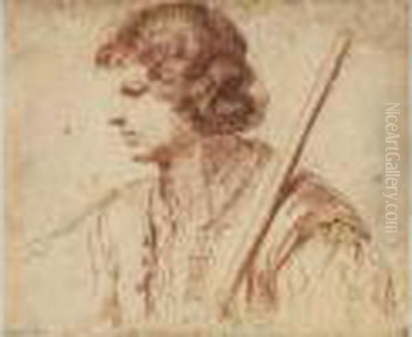 Tete De Jeune Homme De Profil A Gauche. Oil Painting by Giovanni Francesco Barbieri