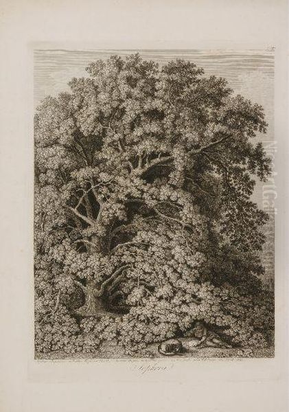 Sophora, Sophora Japonica Au 
Jardin Anglais A Caserte, Desine Dapres Nature Et Grave A L'eau Fort Par
 Philippe Hackert 1801 Oil Painting by Jacob Philipp Hackert