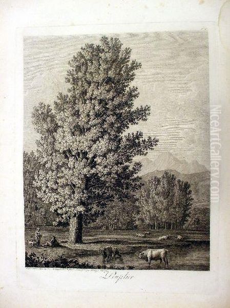 Peuplier, Desine Dapres Nature 
Au Bain De Luques 1802 & Grave A L'eau Fort Par Philippe Hackert Oil Painting by Jacob Philipp Hackert