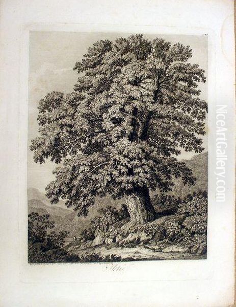 Hetre, Grave Por Phil: Hackert 
1802, Desine Dapres Nature Aux Camuldules Dell'incoronata Dans Le Royome
 De Naples 1798 Oil Painting by Jacob Philipp Hackert