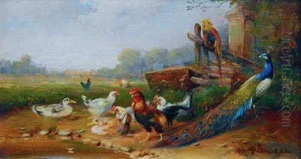 Huhnerhof Mit Goldfasan Und Pfau Oil Painting by Max I Hanger