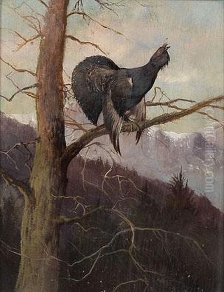 Balzender Auerhahn Im Herbstlichen Alpenwald Oil Painting by Max I Hanger