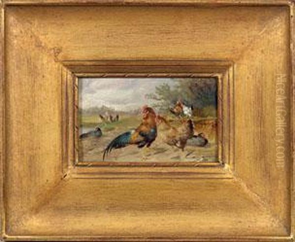 Hahn Mit Hennen Auf Einer Wiese Oil Painting by Max I Hanger