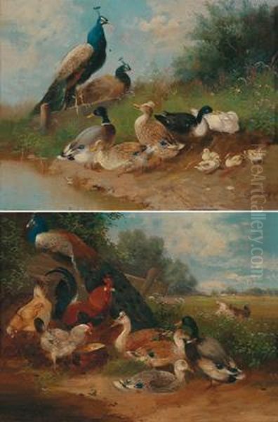 Two Paintings Of Poultry Oil Painting by Max I Hanger