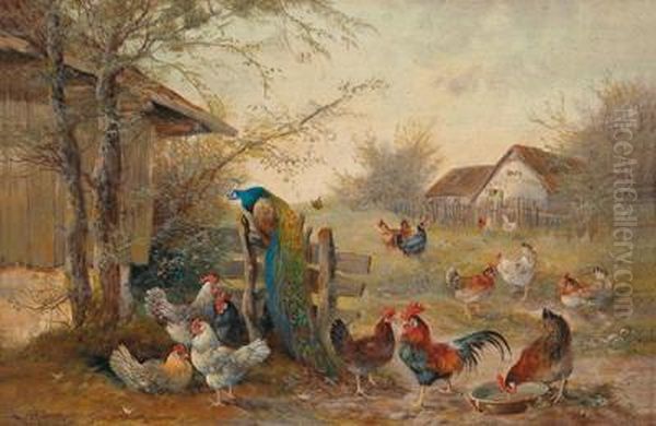 Chicken Yard And A Peacock Oil Painting by Max I Hanger