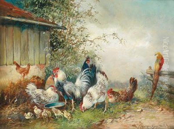 Huhner Und Ein Pfau Oil Painting by Max I Hanger