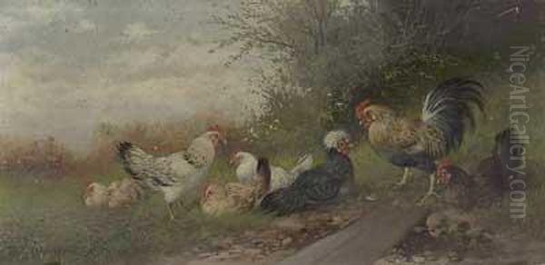 Hahn Mit Sechs Huhnern Am Waldrand Oil Painting by Max I Hanger