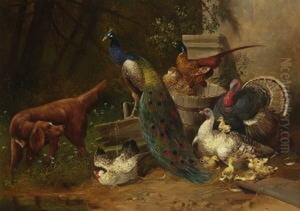 Geflugelhof Mit Hund Und
 Pfau. Oil Painting by Max I Hanger