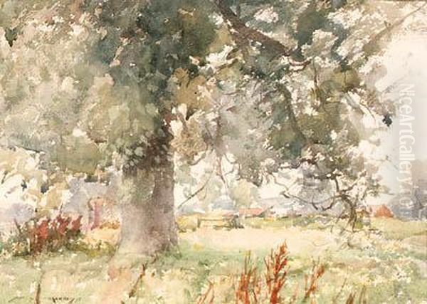 Silver Trees At Pulborough Oil Painting by William Lee Hankey