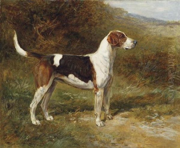Sunshine
, A Foxhound Of The Quorn Oil Painting by Heywood Hardy