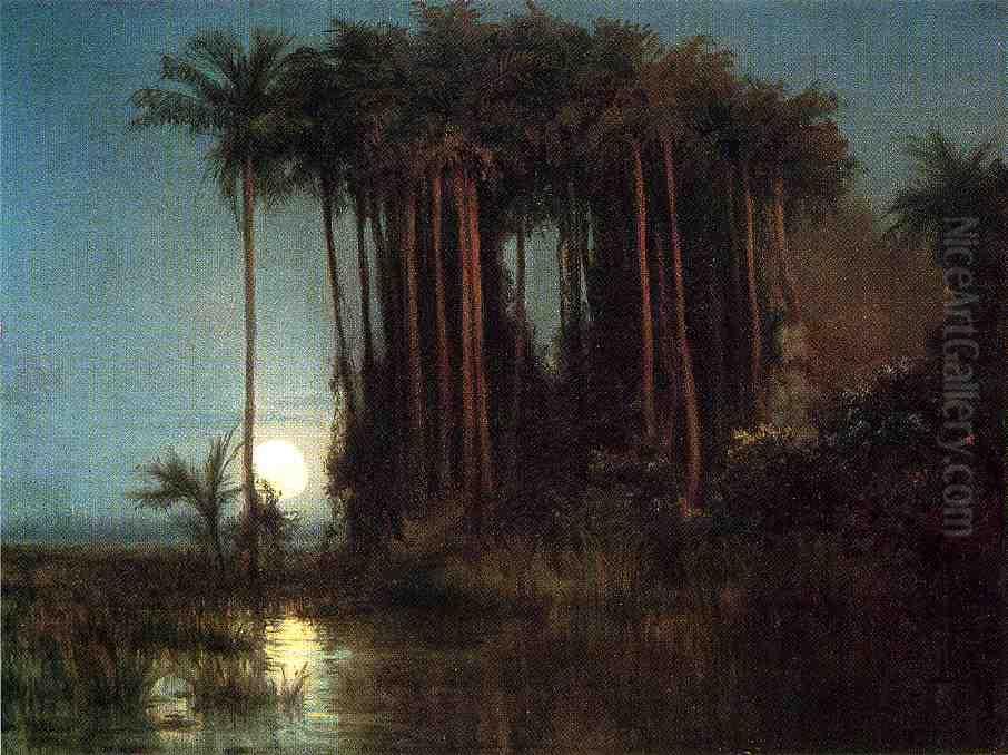 Moonlight over a Marsh in Ecuador Oil Painting by Louis Remy Mignot