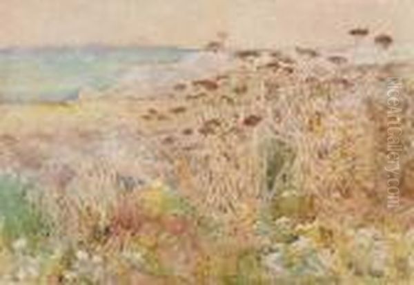 Isles Of Shoals Oil Painting by Childe Hassam