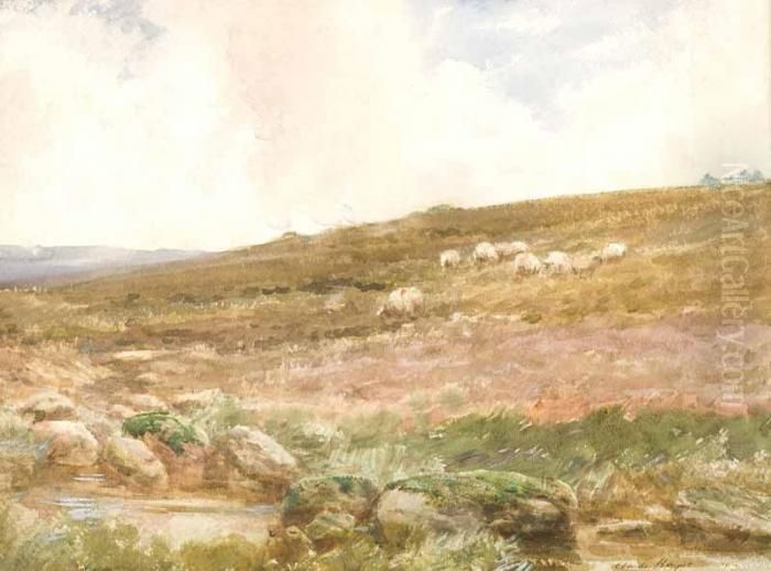 Sheep On The Hillside Oil Painting by Claude Hayes