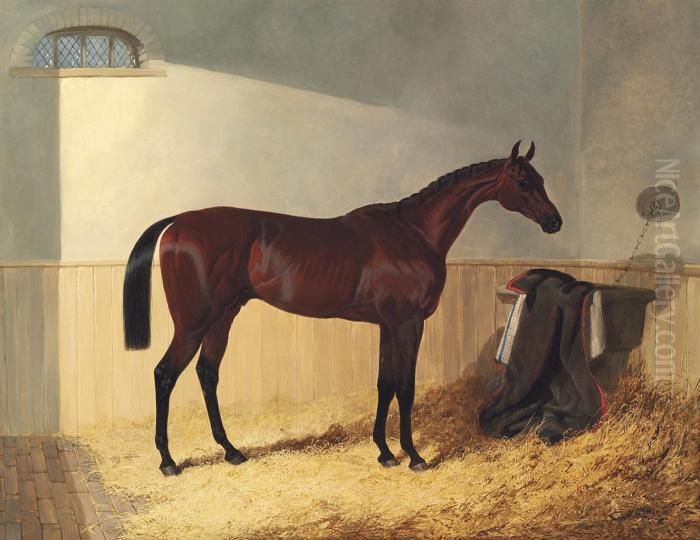 G.w. Gratwicke's Bay Colt Oil Painting by John Frederick Herring Snr