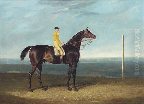 Jack Spigot, A Dark Bay Racehorse With Jockey Up Oil Painting by John Frederick Herring Snr