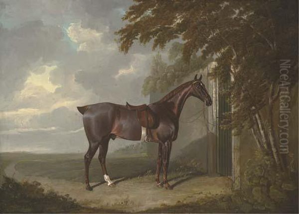 Mr. H.m. Greaves's Liver Chestnut Hunter, Tethered To A Gate Atpage Hall, Yorkshire Oil Painting by John Frederick Herring Snr