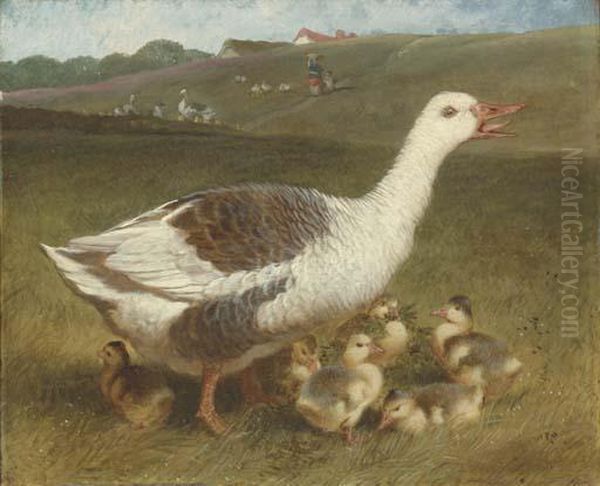 A Goose And Goslings In A Landscape, Figures Beyond Oil Painting by John Frederick Herring Snr