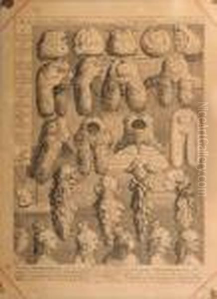 The Five Orders Of Perriwigs Oil Painting by William Hogarth