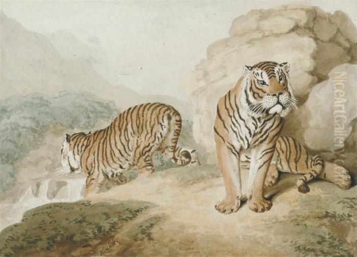 Two Bengal Tigers Oil Painting by Samuel Howitt