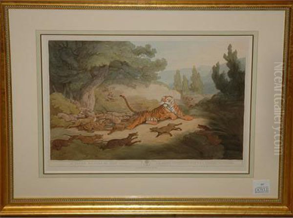A Tiger Hunted By Wild Dogs Oil Painting by Samuel Howitt