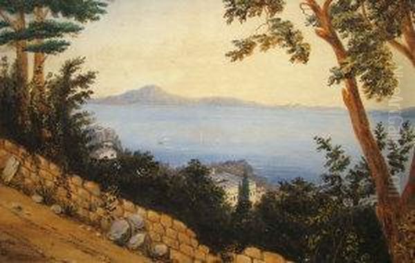 New Zealand, 
With Ships And Steamboats Out To Sea Oil Painting by John Barr Clarke Hoyte