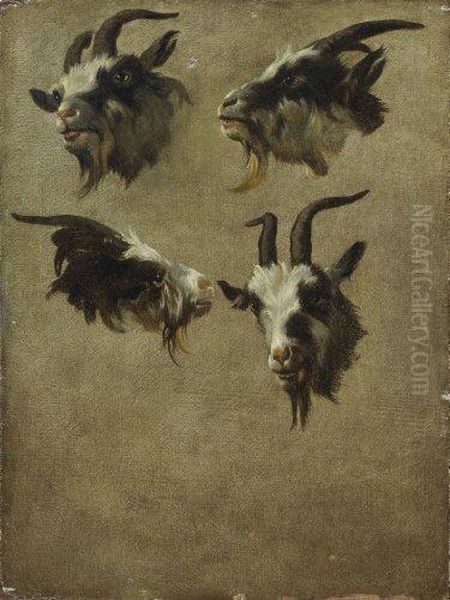 Quatre Etudes De Tetes De Boucs Oil Painting by Jean-Baptiste Huet