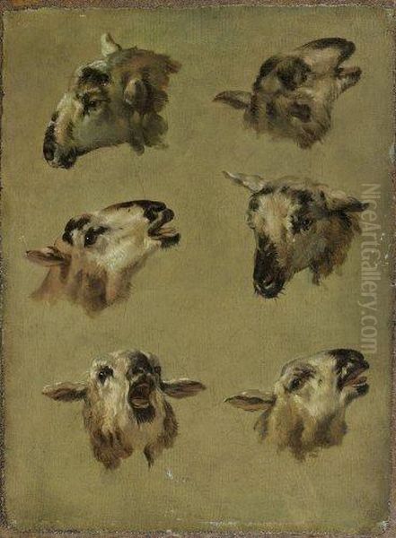 Six Etudes De Tetes De Moutons Oil Painting by Jean-Baptiste Huet