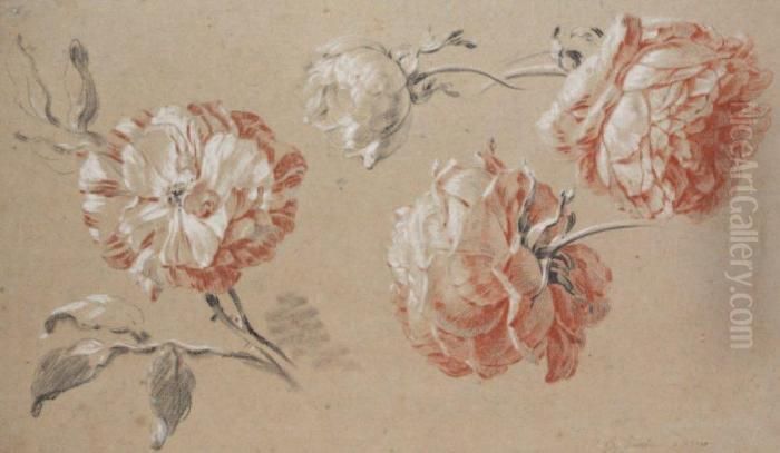 Etude De Roses Oil Painting by Jean-Baptiste Huet