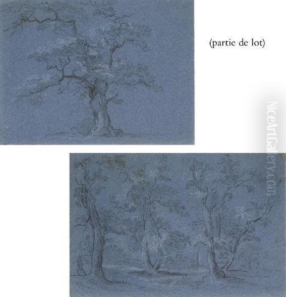 Suite De Trois Etudes D'arbres Oil Painting by Jean-Baptiste Huet