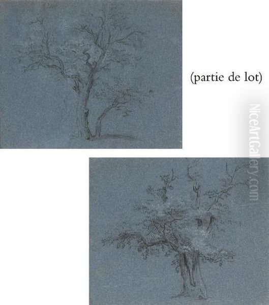 Suite De Quatre Etudes D'arbres Oil Painting by Jean-Baptiste Huet