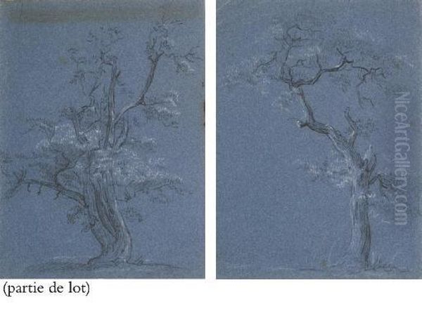 Suite De Six Etudes D'arbres Oil Painting by Jean-Baptiste Huet