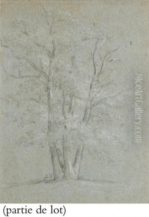 Suite De Trois Etudes D'arbres Oil Painting by Jean-Baptiste Huet