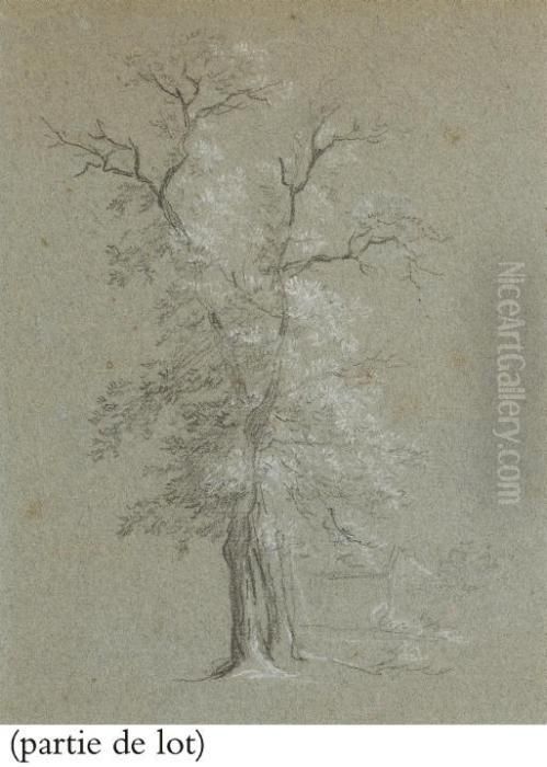 Suite De Huit Dessins: Deux Paysages Et Six Etudes D'arbres Oil Painting by Jean-Baptiste Huet