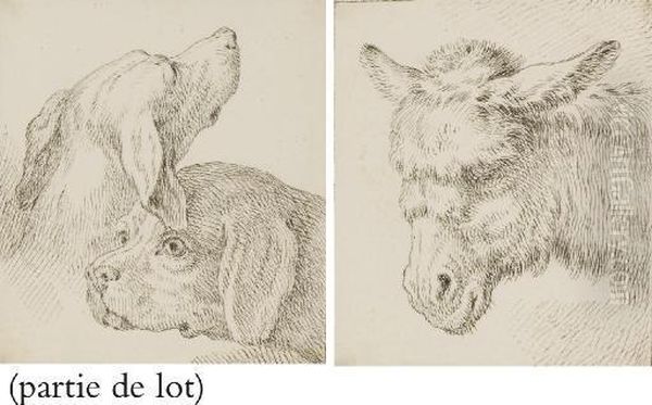 Deux Etudes De Tetes De Chiens Oil Painting by Jean-Baptiste Huet