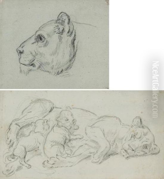 Une Tete De Lion Vu De Profil 
Vers La Gauche; Et Une Lionne Allongee Avec Ses Deux Petits Lionceaux Oil Painting by Jean-Baptiste Huet