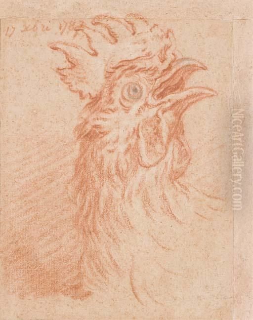 Une Tete De Coq Oil Painting by Jean-Baptiste Huet