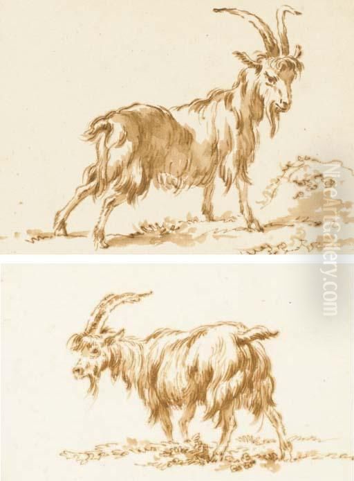 Une Chevre De Profil A Droite; Et Une Chevre De Profil Agauche Oil Painting by Jean-Baptiste Huet