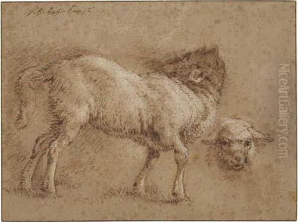 Studies Of Sheep Oil Painting by Jean-Baptiste Huet
