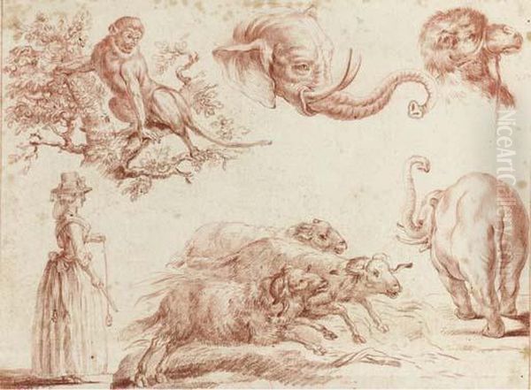 Sketches Of Animals And A Woman Oil Painting by Jean-Baptiste Huet