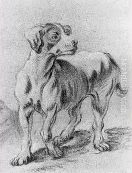 Etude De Chien Oil Painting by Jean-Baptiste Huet