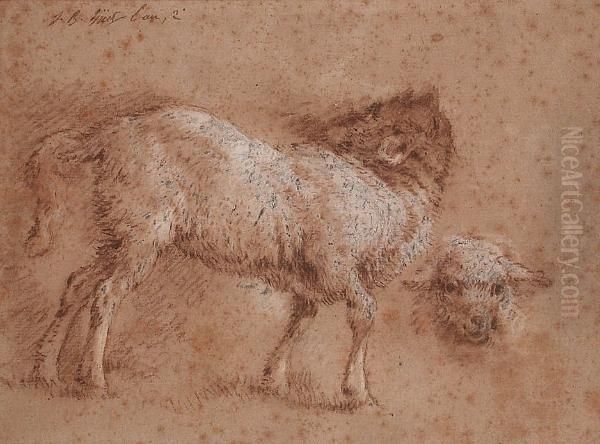 Study Of A Sheep And A Sheep's Head Oil Painting by Jean-Baptiste Huet