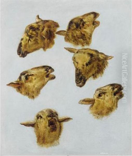 Etudes De Tetes De Moutons Oil Painting by Jean-Baptiste Huet
