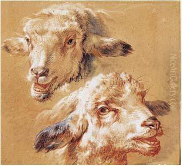 Deux Etudes De Tetes De Moutons Oil Painting by Jean-Baptiste Huet