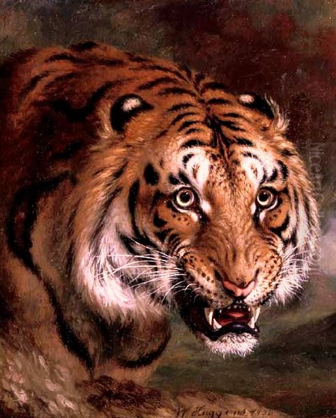 A Bengal Tiger Oil Painting by William Huggins