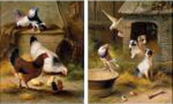 Pigeons And Chickens; Pigeons And Puppies Oil Painting by Edgar Hunt