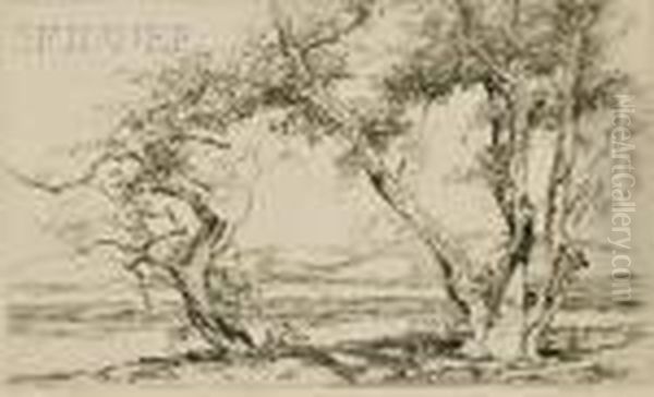The Old Stand Of Trees Oil Painting by Alfred Heber Hutty