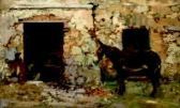 L'asinello Oil Painting by Irolli Vincenzo